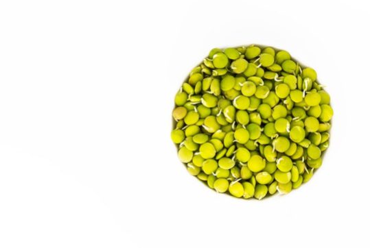 sprouted-green-lentils-Anastasiya-Zhitenskaya